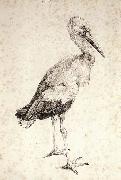 Albrecht Durer The Stork Sweden oil painting artist
